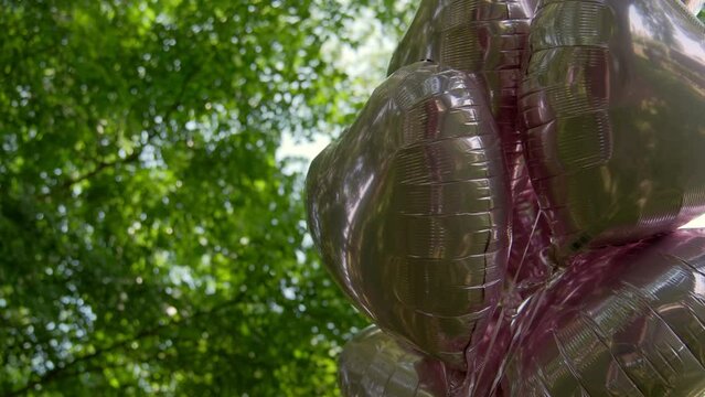 balloons against a green forest, happy birthday decoration. close up footage