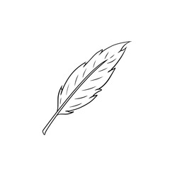 Bird feather. Decorative element. Cartoon illustration. Plumage of flying animal for Coloring book