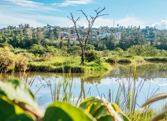 Nyandungu Urban Wetland Eco-tourism Park