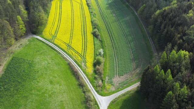 Agricultural fields with oilseed rape, Steigerwald, Bavaria, Germany