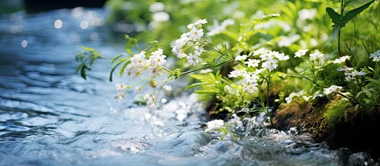 Fotobehang Water flowing amid flowers and weeds © 2rogan