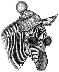 Vintage engraving isolated zebra horse glasses dressed fashion set illustration ink sketch. Wild equine background nag mustang animal silhouette sunglasses hipster hat art. Hand drawn image - obrazy, fototapety, plakaty
