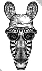 Vintage engraving isolated zebra horse glasses dressed fashion set illustration ink sketch. Wild equine background nag mustang animal silhouette sunglasses hipster hat art. Hand drawn vector image