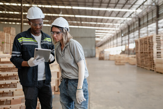 Diverse ethnic workers standing in warehouse examining hardwood material for wood furniture production. Engineer team wear safety hardhat working in lumber pallet factory. Diversity people check stock