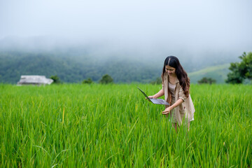 Asian female researcher uses a laptop to collect data on rice plants in the field to analyze ways to increase yield. Agricultural technology.