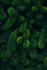 Fototapeta na wymiar Fir branches green needle abstract background Christmas texture. Vertical composition.