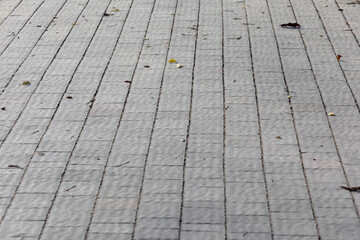 Pavement and the city. Texture, background, photo