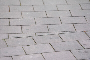 Pavement and the city. Texture, background, photo