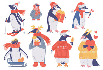 Winter cute penguins, vector illustration isolated on white. - obrazy, fototapety, plakaty
