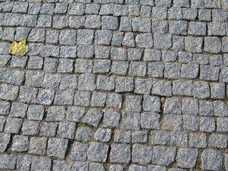 Pavement and the city. Texture, background, photo