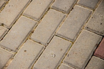 Pavement and the city. Texture, background, photo