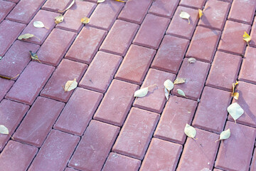 Pavement and the city. Texture, background, photo