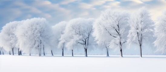 Snow covered towering trees a wintery scene of the natural world - obrazy, fototapety, plakaty