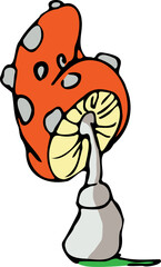 mushroom in the forest