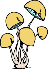 illustration of mushrooms