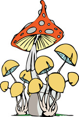 mushrooms in the forest