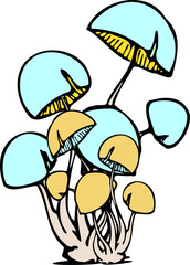 illustration of mushrooms