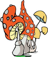 mushrooms in the grass