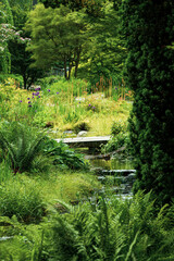 grüne Natur im Park 