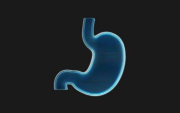 Stomach with holographic image effect, 3d rendering.