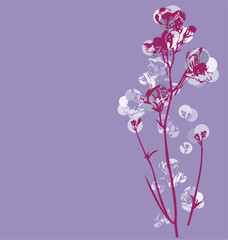 Cherry blossom graphic vector image