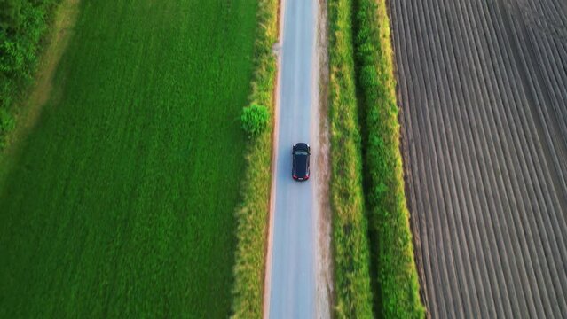 Hovering above, the camera offers a dynamic bird's-eye view: a lone car, a speck of modernity, journeying down a road that cuts through an expansive sea of green. The lush field, a testament to nature