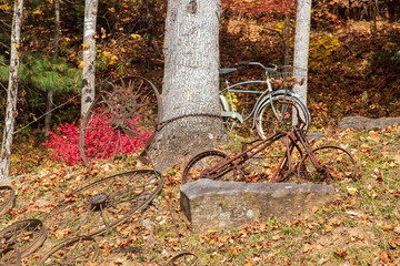 Fall colors in the Blue Ridge Mountains of western North Carolina