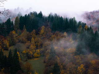 Misty fall Carpathian Mountains fog landscape. Village in Transcarpathia region Foggy spruce pine red yellow trees forest scenic view Ukraine, Europe. Autumn countryside Eco Local tourism Recreational