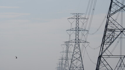 high voltage pole