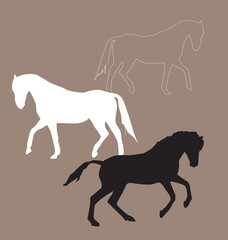 Wild horses vector image