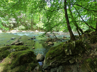 Naklejka na ściany i meble A beautiful canyon of river Jerma in Serbia. Sunny day in the nature.