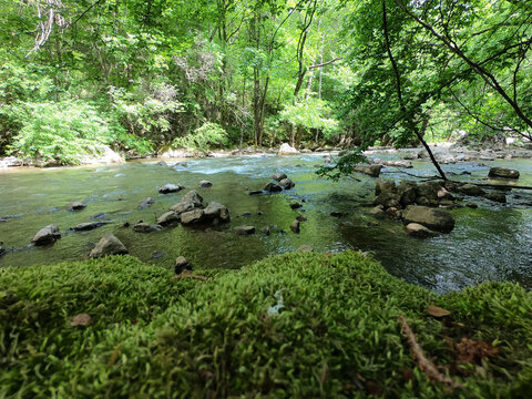 A beautiful canyon of river Jerma in Serbia. Sunny day in the nature.