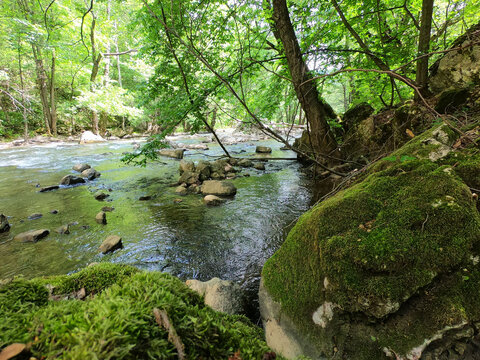 A beautiful canyon of river Jerma in Serbia. Sunny day in the nature.