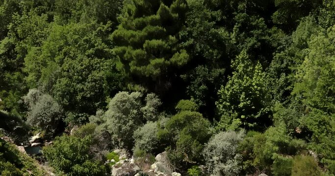 Stream filmed from above with rocks and vegetation in Serra da Estrela, Portugal.