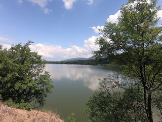 Beautiful landskape of the lake and green forest . Sunny day in nature.
