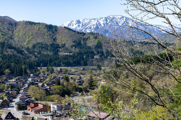 Shirakawa go, Japan: Panoramic high level view over village with rice fields and farmhouses with traditional thatched roofs and snowcapped mountains in background