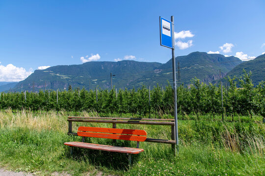 Close up of simple bus stop with a red bench in the middle of an apple orchard in South Tyrol, Italy with bus sign and time table of cities Masetta and Wachsbleiche; mountains in background