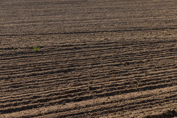 plowed soil in a field during preparation for sowing