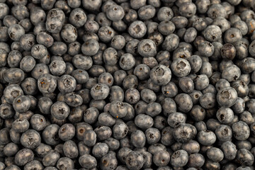 sweet and delicious blueberries during storage before sale