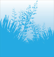 Blue flax vector image