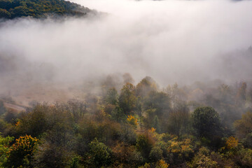 Bird's-eye view of the Taunus forests in the Wisper Valley near Presberg/Germany in autumn with morning fog