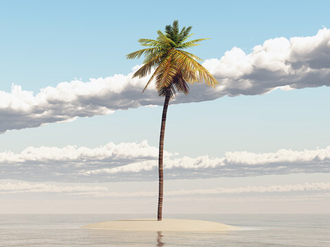 Kleine Insel mit Palme im offenen Meer