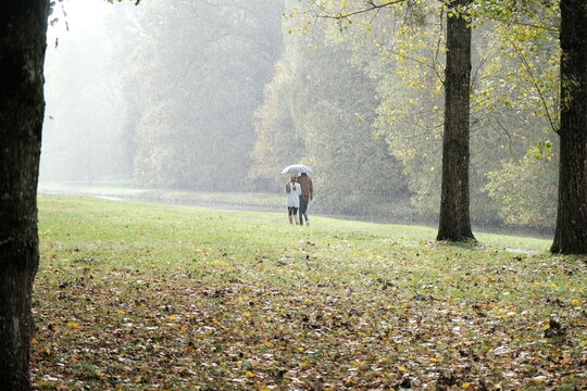 Couple de deux amoureux marchant dans un parc en automne sous une forte pluie s'abritant sous un grand parapluie noir tenu par l'homme pour abriter la femme avec beaucoup de lumi&egrave;re du soleil