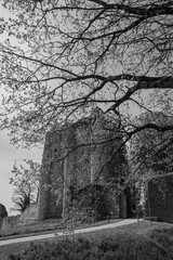 Black and white photo of the keep of the castle of Pouzauges through the branches of a tree, commune of Pouzauges in the department of Vendée in France.