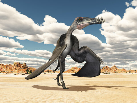 Flugsaurier Dorygnathus in einer Wüstenlandschaft