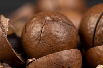 A bunch of ripe macadamia nuts in a hard shell