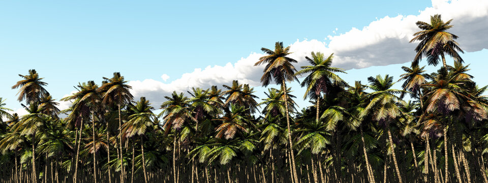 Tropische Landschaft mit Palmen