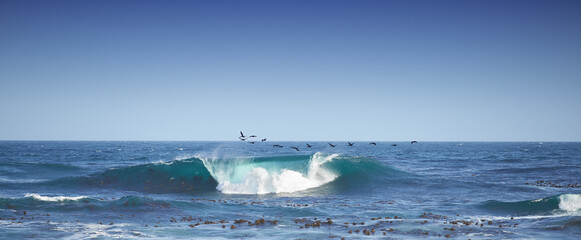 One wave crashing in the sea with seagulls flying and copy space. Rolling waves in a calm peaceful ocean against a blue clear sky. Calm and serene nature scene. Waves by the seaside on a shoreline