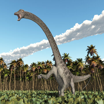 Dinosaurier Diplodocus in einer tropischen Landschaft
