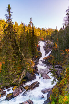 Foss ved Ulaelva i Rondane nasjonalpark i Norge, Marcinfossen